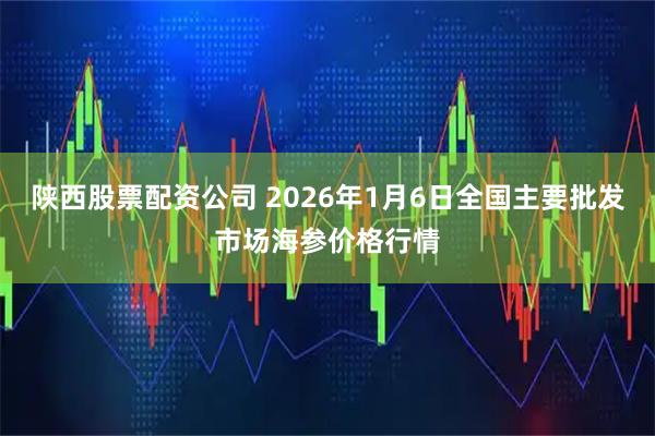 陕西股票配资公司 2026年1月6日全国主要批发市场海参价格行情