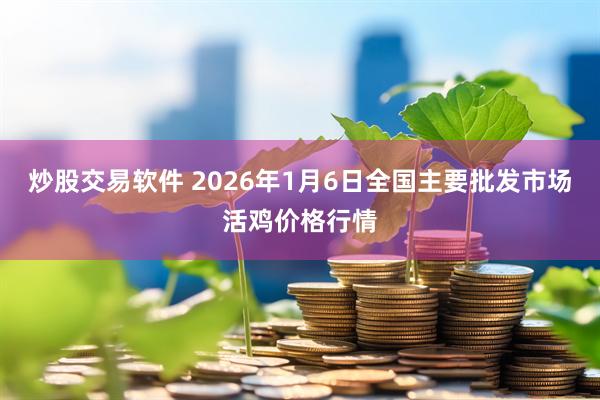 炒股交易软件 2026年1月6日全国主要批发市场活鸡价格行情