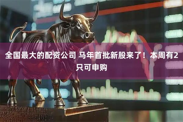 全国最大的配资公司 马年首批新股来了!本周有2只可申购