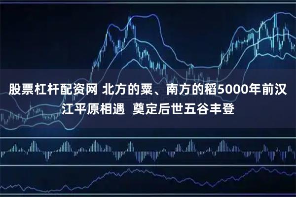 股票杠杆配资网 北方的粟、南方的稻5000年前汉江平原相遇 奠定后世五谷丰登