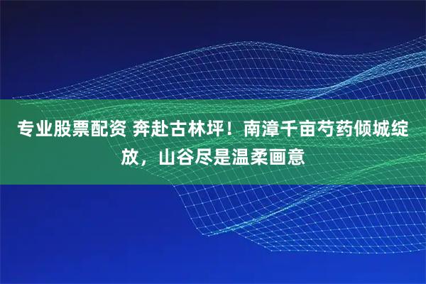 专业股票配资 奔赴古林坪！南漳千亩芍药倾城绽放，山谷尽是温柔画意